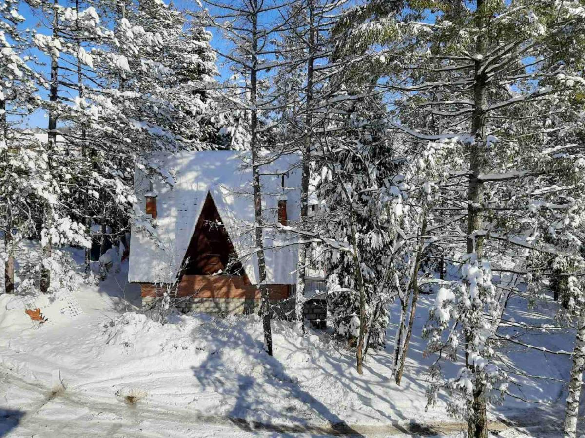 Almi Lux Apartman Zlatibor Dış mekan fotoğraf
